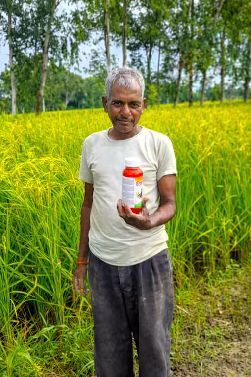 Farmer using tiranga in paddy