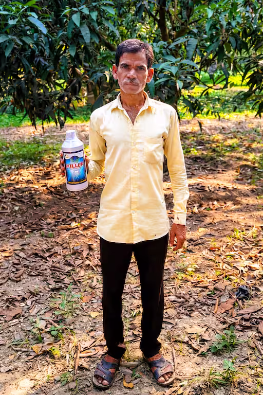 Mango farmer using killer