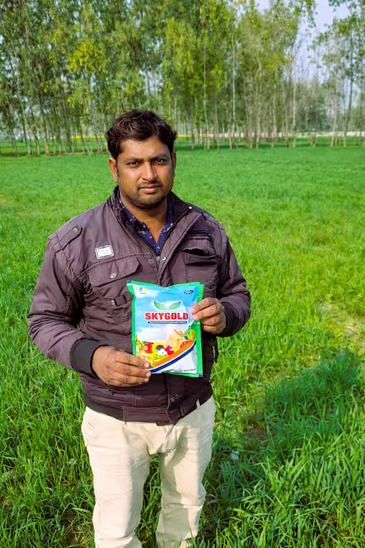 Wheat farmer using skygold